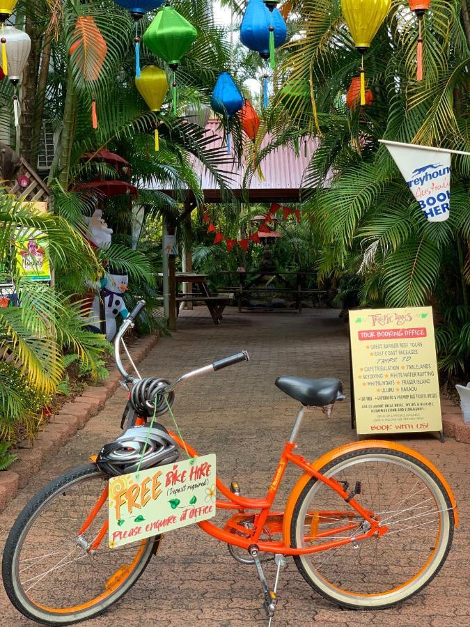 Tropic Days Boutique Hostel Cairns Luaran gambar